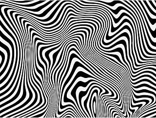 MISITU 1000 Pieces Jigsaw Puzzles for Adults Black and White Strips Impossible Puzzles Challenging Difficult Puzzles Abstr…