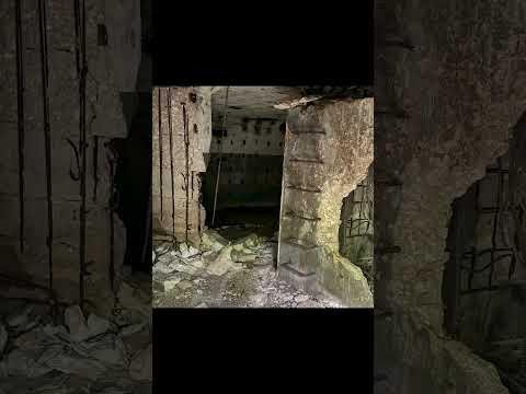 Moruya’s WWII Bunkers Open to Public in Historic Commemoration