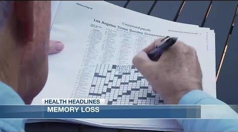 Unveiling the Cognitive Benefits of Word Search Puzzles